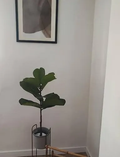 Mediterráneo Puro! Apartamento *